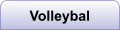 Volleybal