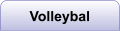 Volleybal