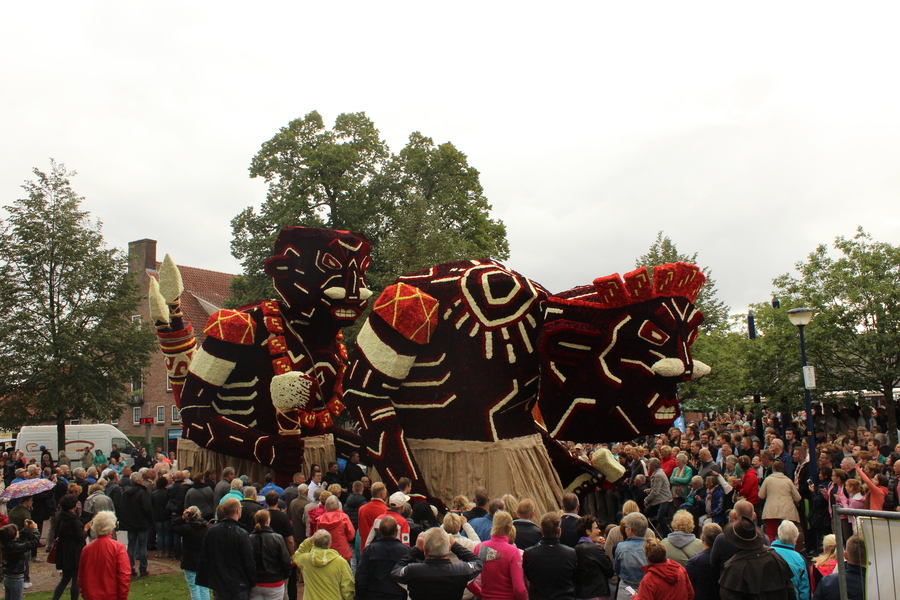 2015_Rising-foto4