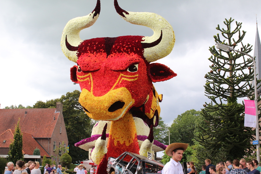 2016_Slinge-foto5 2016_Slinge-foto5