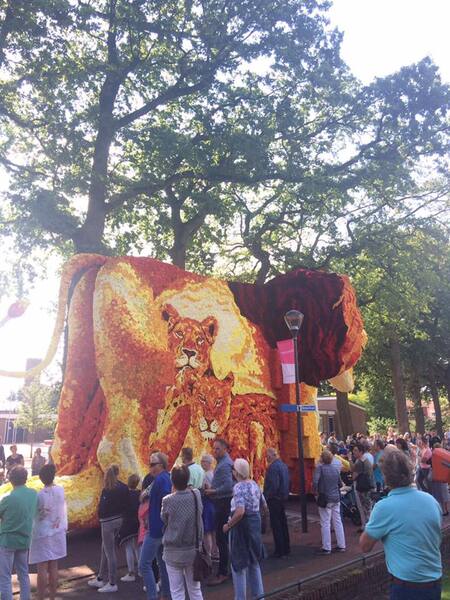 2017_Klunt-foto9 2017_Klunt-foto9