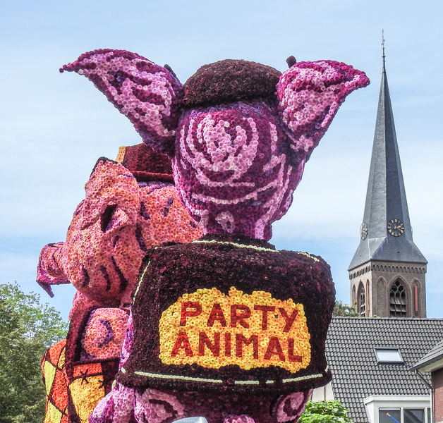 2019_Toekomst-foto8 2019_Toekomst-foto8