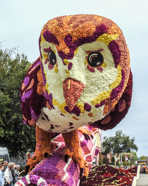 2019_Windstreken-foto6 2019_Windstreken-foto6