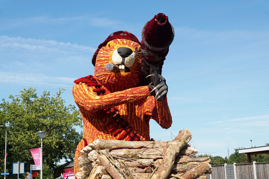 2025_Flodders-foto6 2025_Flodders-foto6